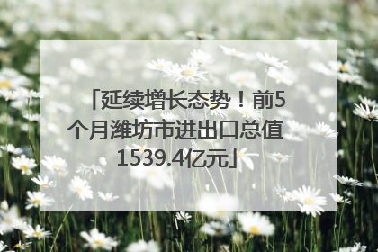 延续增长态势！前5个月潍坊市进出口总值1539.4亿元
