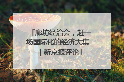 廊坊经洽会，赶一场国际化的经济大集｜新京报评论