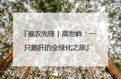 强农先锋丨高世峰：一只鹅肝的全球化之旅