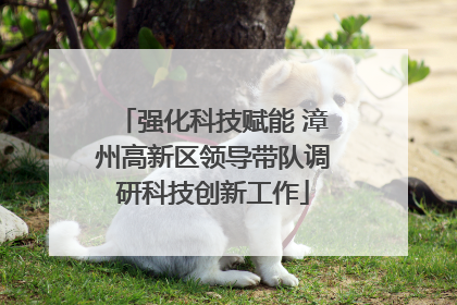 强化科技赋能 漳州高新区领导带队调研科技创新工作