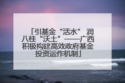 引基金“活水” 润八桂“沃土”——广西积极构建高效政府基金投资运作机制