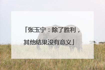张玉宁：除了胜利，其他结果没有意义