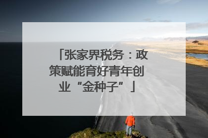 张家界税务：政策赋能育好青年创业“金种子”