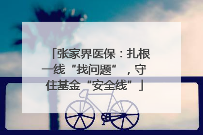 张家界医保：扎根一线“找问题”，守住基金“安全线”