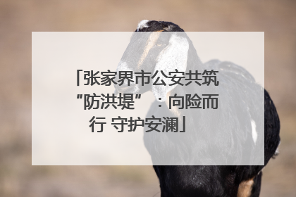 张家界市公安共筑“防洪堤”：向险而行 守护安澜