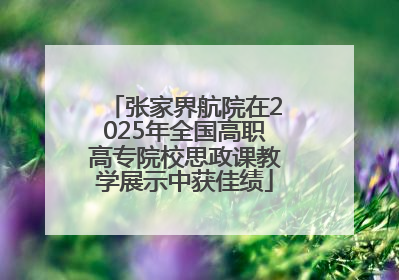 张家界航院在2025年全国高职高专院校思政课教学展示中获佳绩