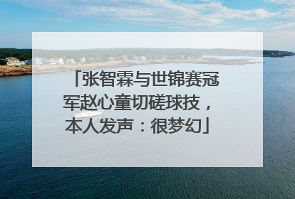 张智霖与世锦赛冠军赵心童切磋球技，本人发声：很梦幻
