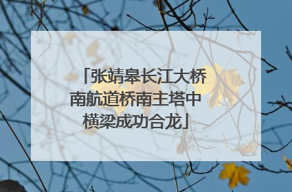 张靖皋长江大桥南航道桥南主塔中横梁成功合龙