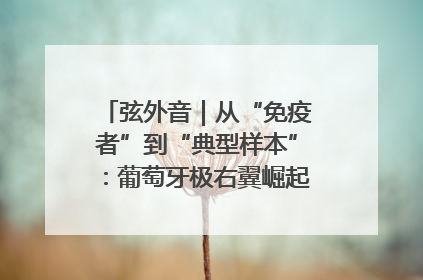 弦外音｜从“免疫者”到“典型样本”：葡萄牙极右翼崛起背后的欧洲困局