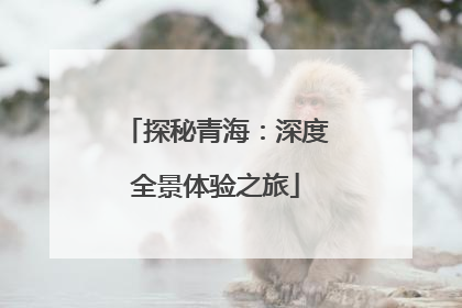 探秘青海：深度全景体验之旅