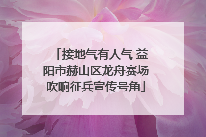 接地气有人气 益阳市赫山区龙舟赛场吹响征兵宣传号角