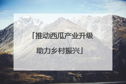推动西瓜产业升级 助力乡村振兴
