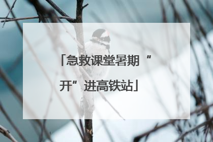 急救课堂暑期“开”进高铁站