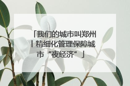 我们的城市叫郑州丨精细化管理保障城市“夜经济”