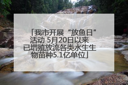 我市开展“放鱼日”活动 5月20日以来已增殖放流各类水生生物苗种5.1亿单位