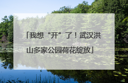 我想“开”了！武汉洪山多家公园荷花绽放