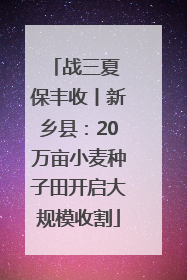 战三夏 保丰收丨新乡县：20万亩小麦种子田开启大规模收割