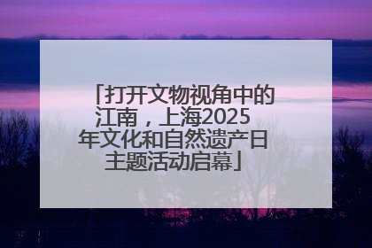 打开文物视角中的江南，上海2025年文化和自然遗产日主题活动启幕