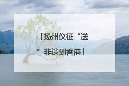 扬州仪征“送”非遗到香港