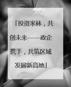 投资米林，共创未来——政企携手，共筑区域发展新高地