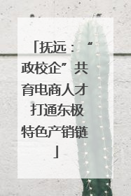 抚远：“政校企”共育电商人才 打通东极特色产销链