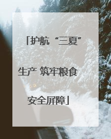 护航“三夏”生产 筑牢粮食安全屏障