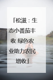 松滋：生态小番茄丰收 绿色农业助力农民增收