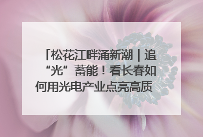 松花江畔涌新潮｜追“光”蓄能！看长春如何用光电产业点亮高质量发展新赛道
