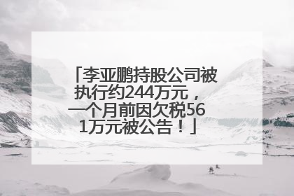 李亚鹏持股公司被执行约244万元，一个月前因欠税561万元被公告！