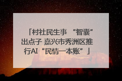 村社民生事 “智囊”出点子 嘉兴市秀洲区推行AI“民情一本账”