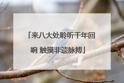 来八大处聆听千年回响 触摸非遗脉搏