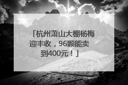 杭州萧山大棚杨梅迎丰收，96颗能卖到400元！
