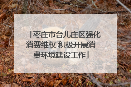 枣庄市台儿庄区强化消费维权 积极开展消费环境建设工作