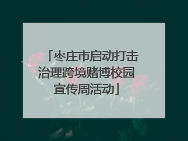 枣庄市启动打击治理跨境赌博校园宣传周活动