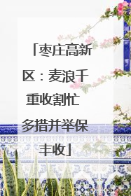 枣庄高新区：麦浪千重收割忙 多措并举保丰收