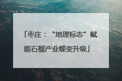 枣庄：“地理标志”赋能石榴产业蝶变升级