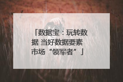 数据宝：玩转数据 当好数据要素市场“领军者”