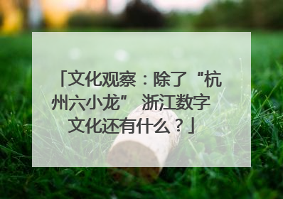 文化观察：除了“杭州六小龙” 浙江数字文化还有什么？