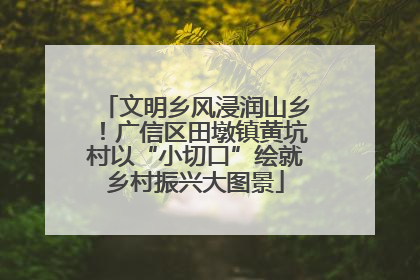 文明乡风浸润山乡！广信区田墩镇黄坑村以“小切口”绘就乡村振兴大图景