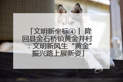 文明新坐标④丨 隆回县金石桥镇黄金井村：文明新风生“黄金” 振兴路上展新姿