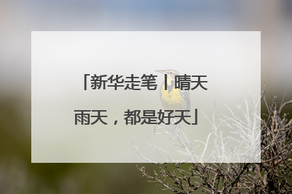 新华走笔丨晴天雨天，都是好天