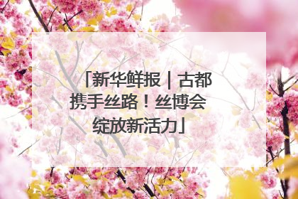 新华鲜报｜古都携手丝路！丝博会绽放新活力