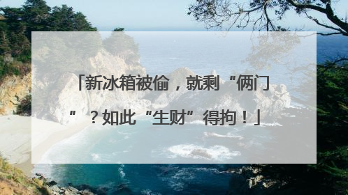 新冰箱被偷，就剩“俩门”？如此“生财”得拘！