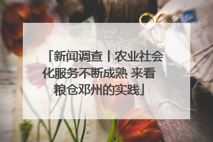 新闻调查丨农业社会化服务不断成熟 来看粮仓邓州的实践