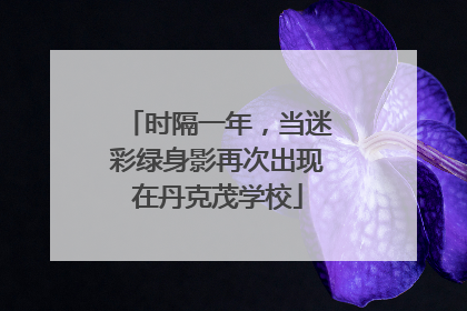 时隔一年，当迷彩绿身影再次出现在丹克茂学校