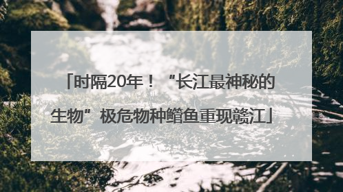 时隔20年！“长江最神秘的生物”极危物种鳤鱼重现赣江