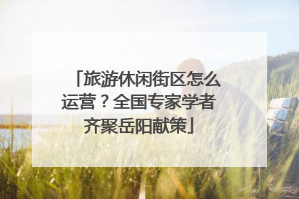 旅游休闲街区怎么运营？全国专家学者齐聚岳阳献策