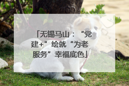 无锡马山：“党建+”绘就“为老服务”幸福底色