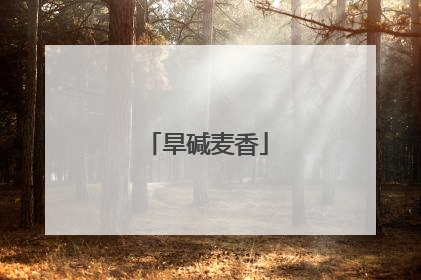 旱碱麦香
