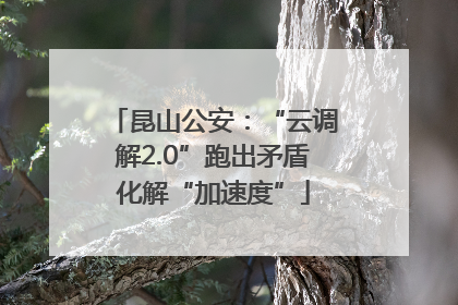 昆山公安：“云调解2.0”跑出矛盾化解“加速度”